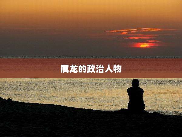 属龙的政治人物