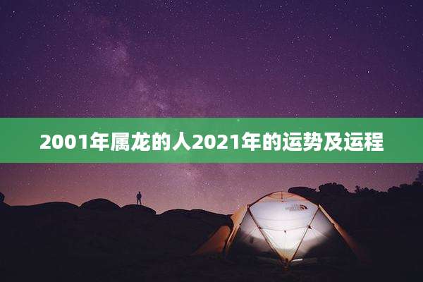 2001年属龙的人2021年的运势及运程