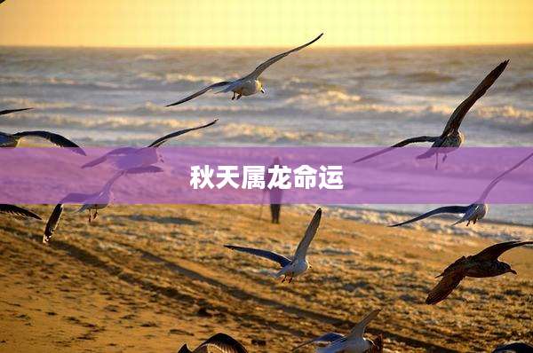 秋天属龙命运