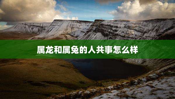 属龙和属兔的人共事怎么样