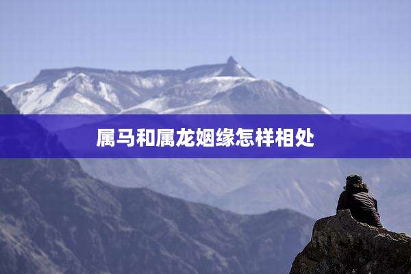 属马和属龙姻缘怎样相处