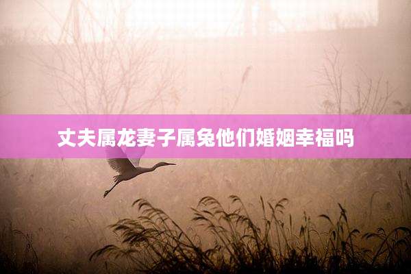 丈夫属龙妻子属兔他们婚姻幸福吗