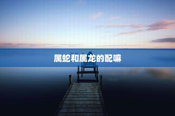 属蛇和属龙的配嘛