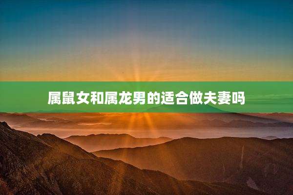 属鼠女和属龙男的适合做夫妻吗