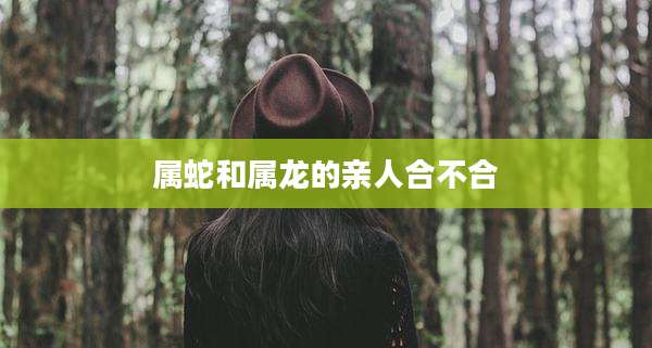 属蛇和属龙的亲人合不合
