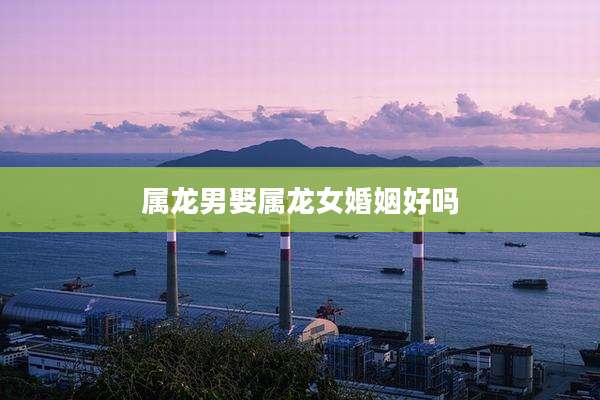 属龙男娶属龙女婚姻好吗