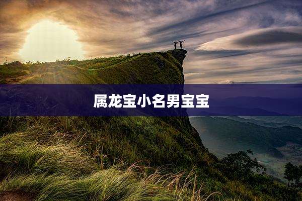 属龙宝小名男宝宝