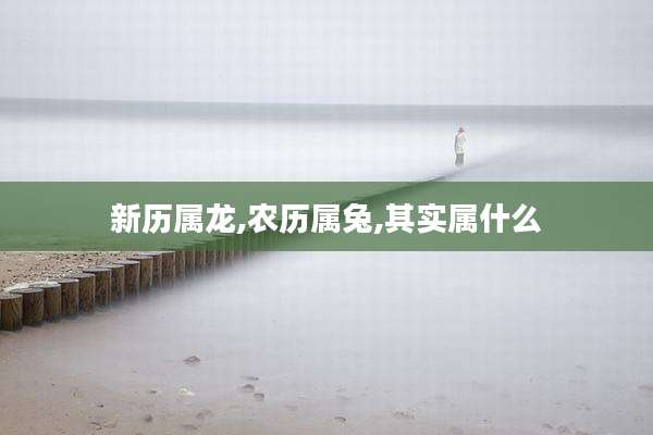 新历属龙,农历属兔,其实属什么