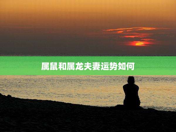 属鼠和属龙夫妻运势如何