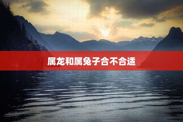 属龙和属兔子合不合适