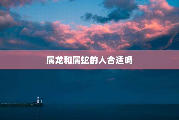 属龙和属蛇的人合适吗