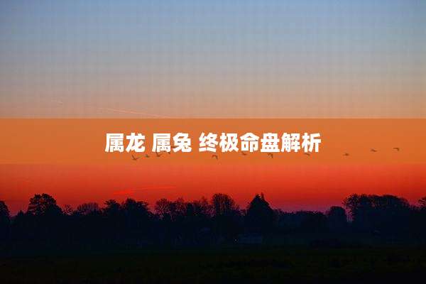 属龙 属兔 终极命盘解析