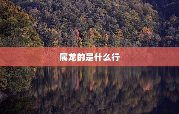 属龙的是什么行