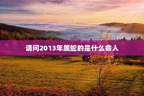 请问2013年属蛇的是什么命人