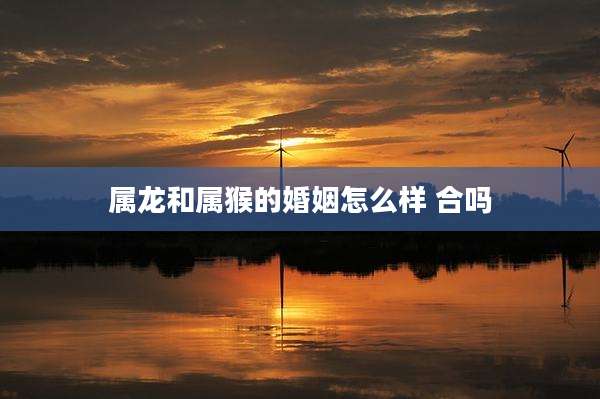 属龙和属猴的婚姻怎么样 合吗