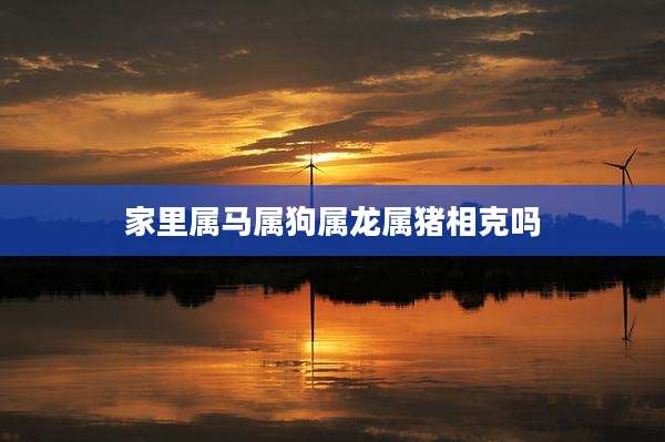 家里属马属狗属龙属猪相克吗