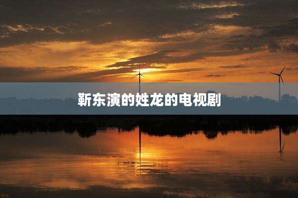 靳东演的姓龙的电视剧