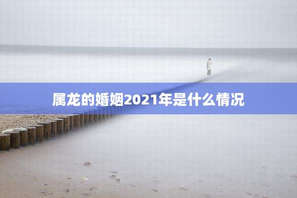 属龙的婚姻2021年是什么情况