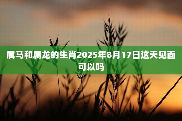 属马和属龙的生肖2025年8月17日这天见面可以吗