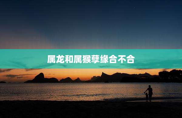 属龙和属猴孽缘合不合