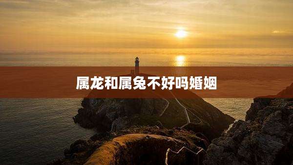 属龙和属兔不好吗婚姻