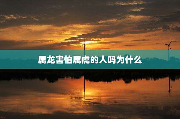 属龙害怕属虎的人吗为什么