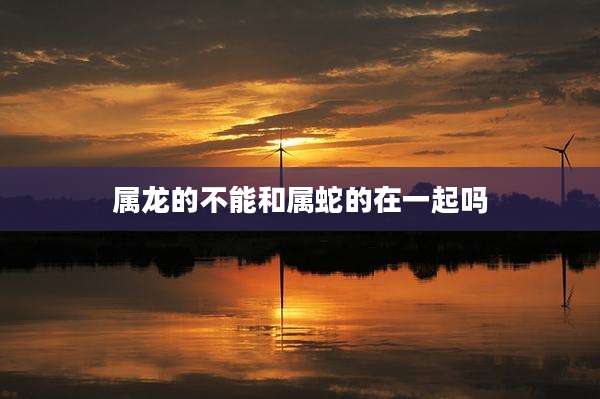 属龙的不能和属蛇的在一起吗