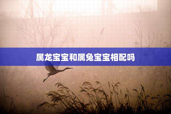 属龙宝宝和属兔宝宝相配吗
