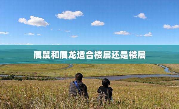 属鼠和属龙适合楼层还是楼层