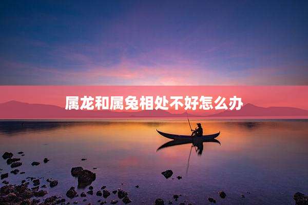 属龙和属兔相处不好怎么办