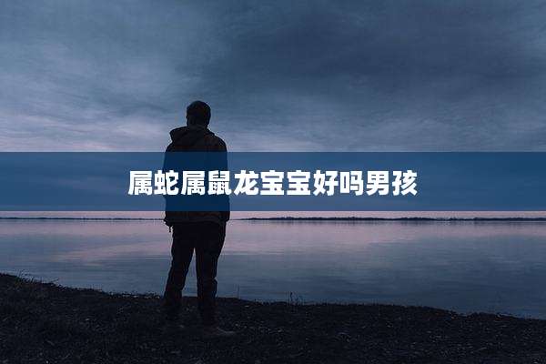 属蛇属鼠龙宝宝好吗男孩