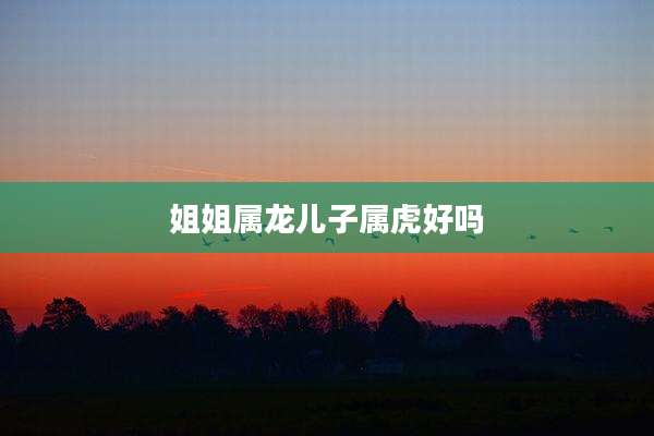 姐姐属龙儿子属虎好吗