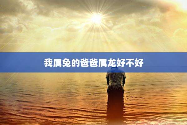 我属兔的爸爸属龙好不好