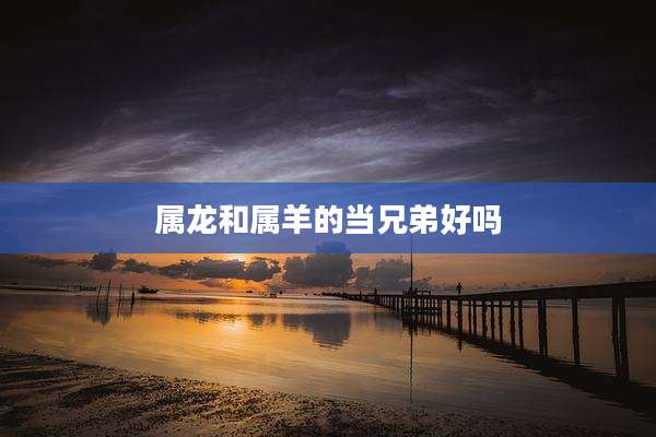 属龙和属羊的当兄弟好吗