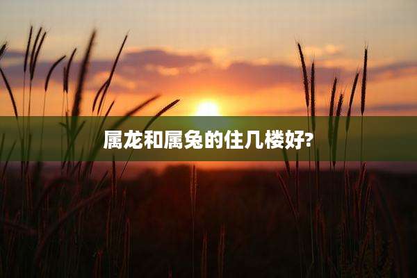 属龙和属兔的住几楼好?