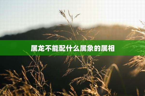 属龙不能配什么属象的属相