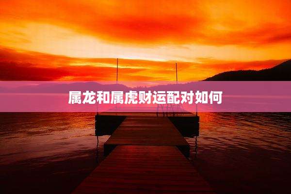 属龙和属虎财运配对如何
