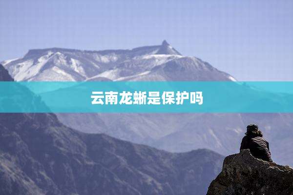 云南龙蜥是保护吗