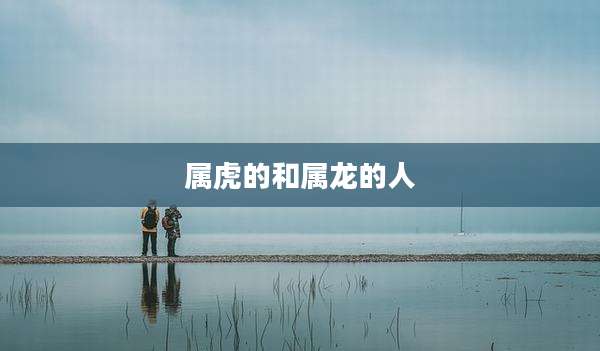 属虎的和属龙的人