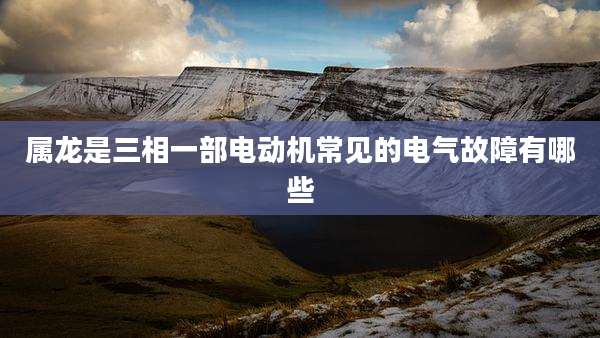 属龙是三相一部电动机常见的电气故障有哪些