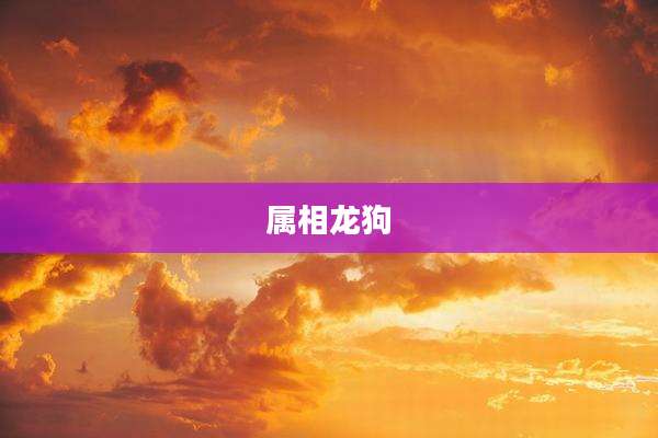 属相龙狗