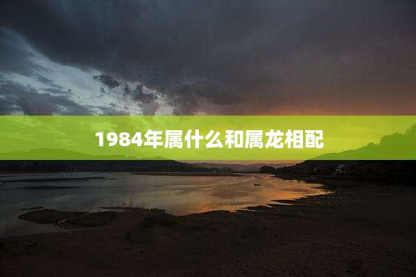 1984年属什么和属龙相配