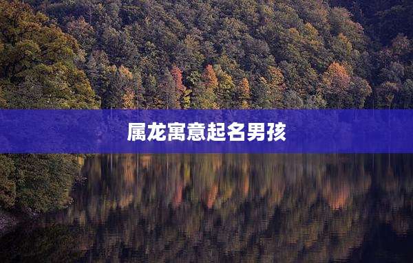 属龙寓意起名男孩