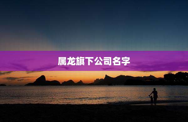 属龙旗下公司名字
