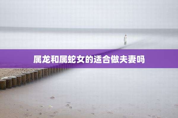 属龙和属蛇女的适合做夫妻吗