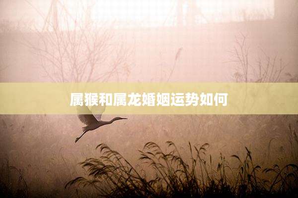 属猴和属龙婚姻运势如何