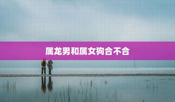 属龙男和属女狗合不合