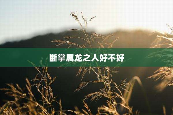 断掌属龙之人好不好