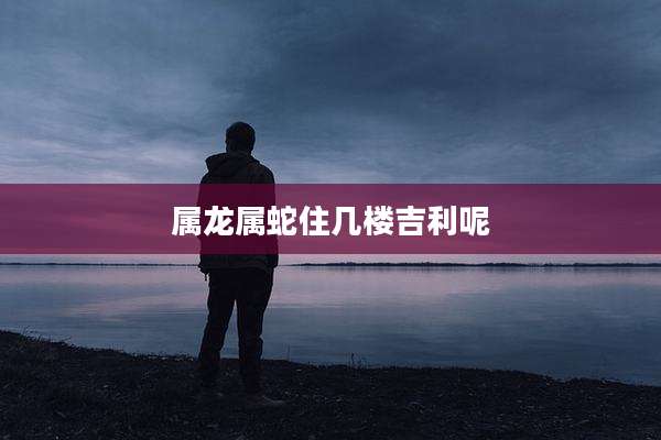 属龙属蛇住几楼吉利呢