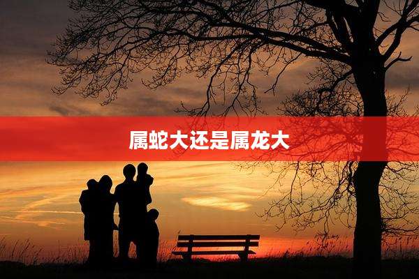 属蛇大还是属龙大